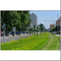 2021-07-19 -T9- Voie des Saules 02.jpg